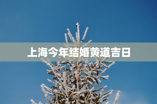上海今年结婚黄道吉日