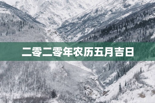 二零二零年农历五月吉日