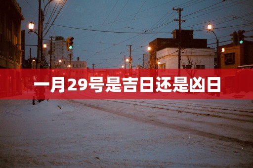一月29号是吉日还是凶日