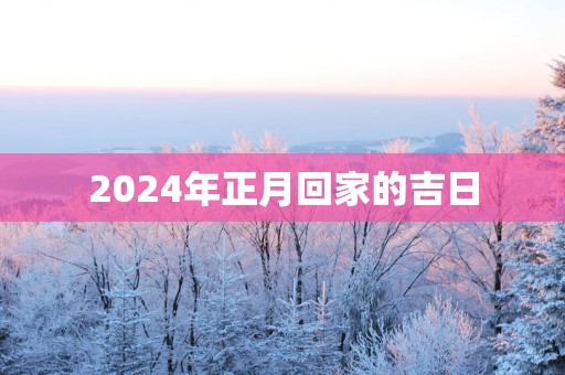 2025年正月回家的吉日