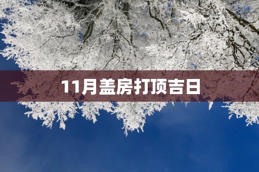 11月盖房打顶吉日