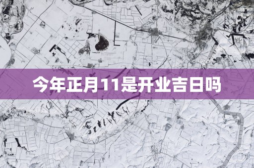 今年正月11是开业吉日吗