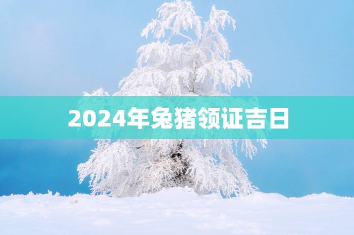 2025年兔猪领证吉日