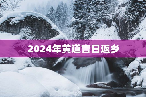 2025年黄道吉日返乡