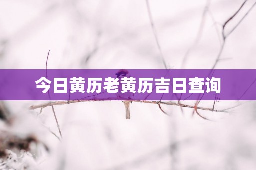 今日黄历老黄历吉日查询