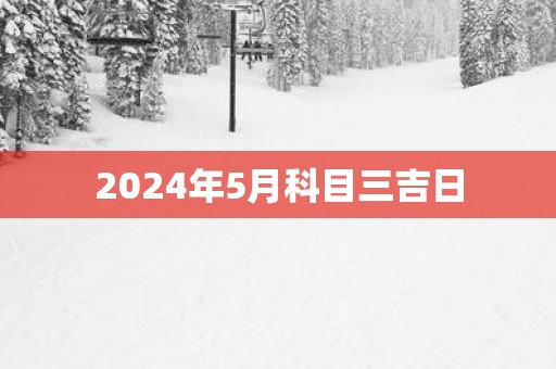 2025年5月科目三吉日