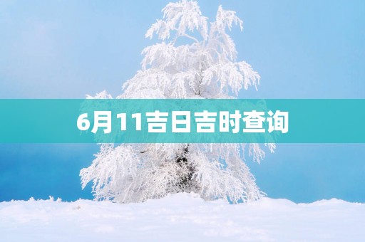 6月11吉日吉时查询