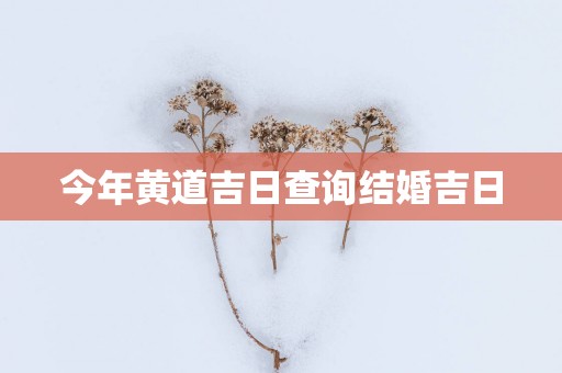 今年黄道吉日查询结婚吉日