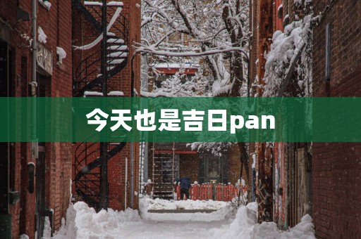 今天也是吉日pan