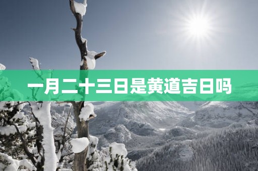 一月二十三日是黄道吉日吗