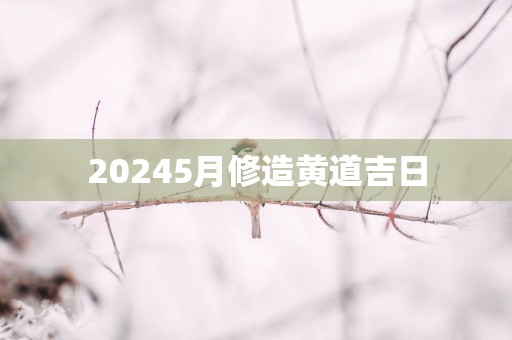 20255月修造黄道吉日