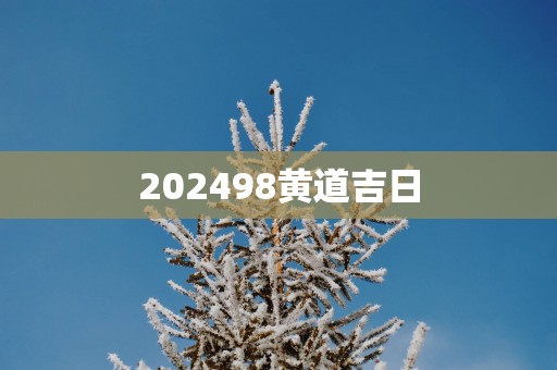 202598黄道吉日