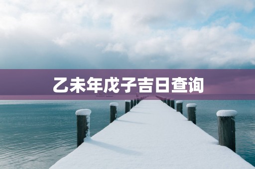 乙未年戊子吉日查询