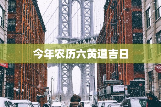 今年农历六黄道吉日