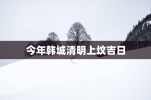 今年韩城清明上坟吉日