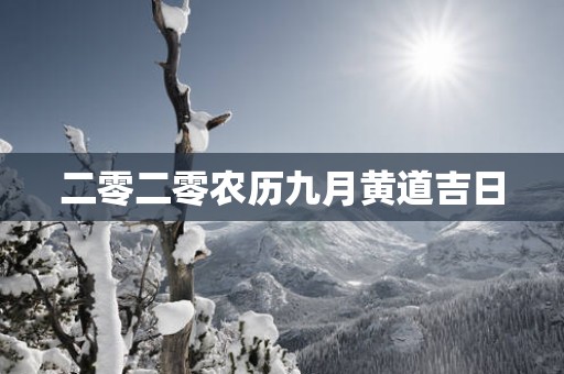 二零二零农历九月黄道吉日