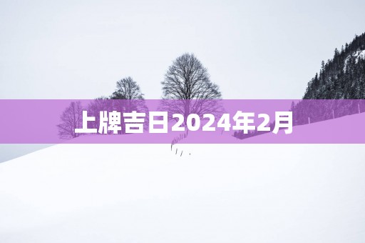 上牌吉日2025年2月