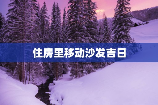 住房里移动沙发吉日