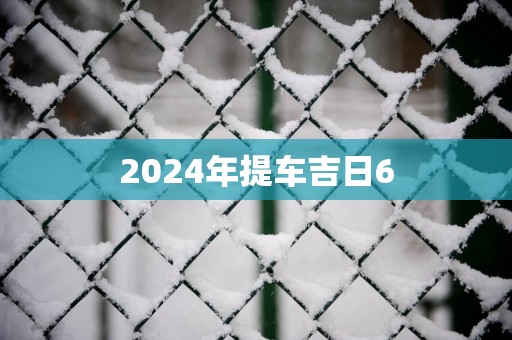 2025年提车吉日6
