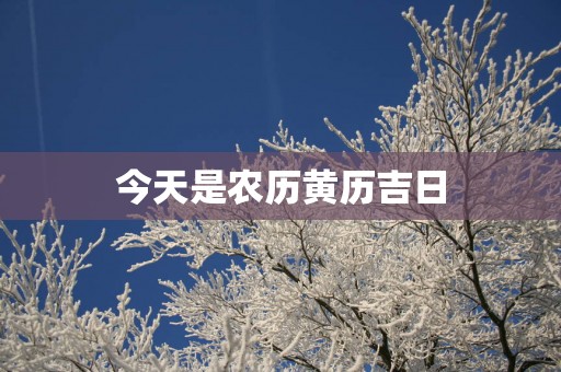 今天是农历黄历吉日