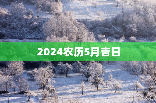 2025农历5月吉日