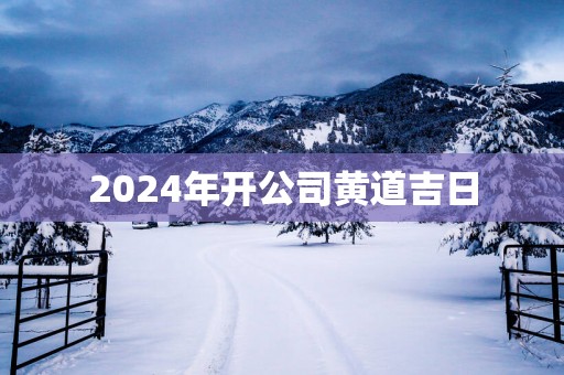 2025年开公司黄道吉日