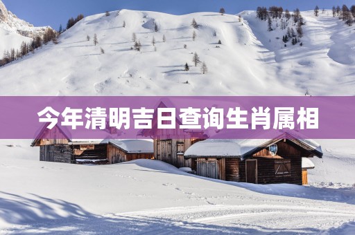 今年清明吉日查询生肖属相