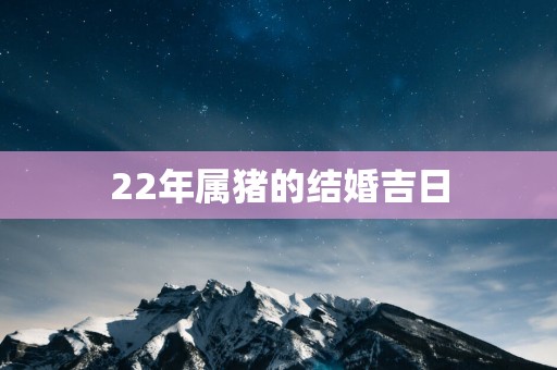 22年属猪的结婚吉日