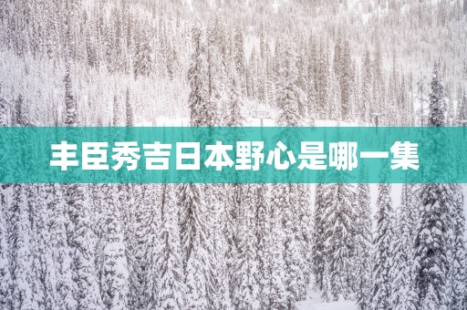 丰臣秀吉日本野心是哪一集