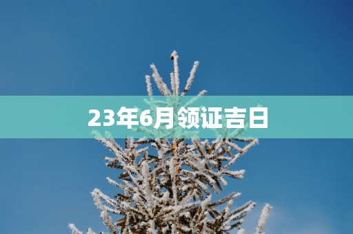 23年6月领证吉日