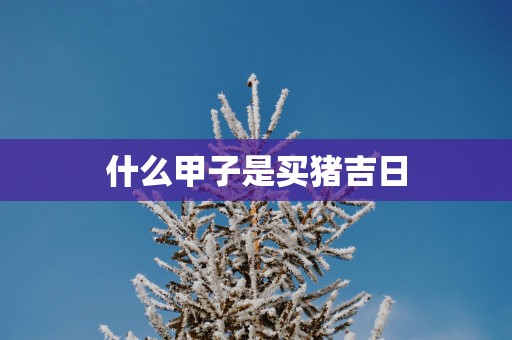 什么甲子是买猪吉日