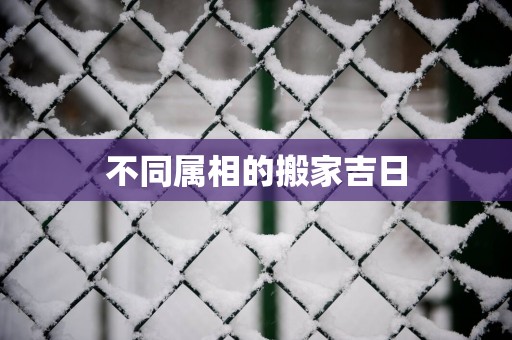 不同属相的搬家吉日