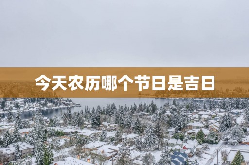 今天农历哪个节日是吉日