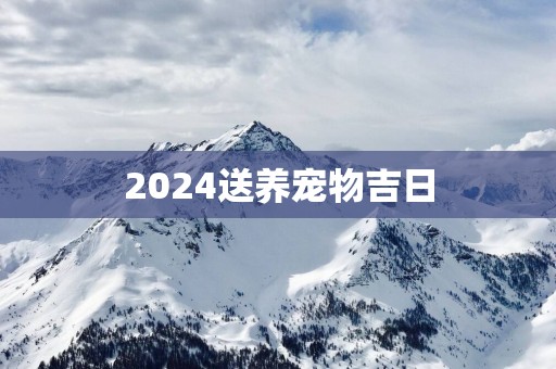 2025送养宠物吉日