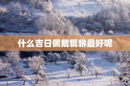 什么吉日佩戴貔貅最好呢