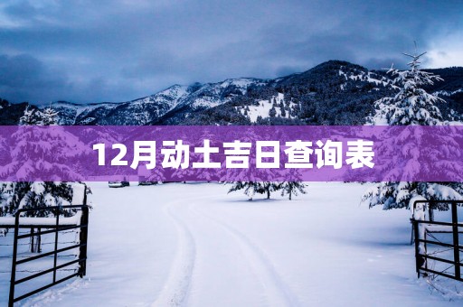 12月动土吉日查询表
