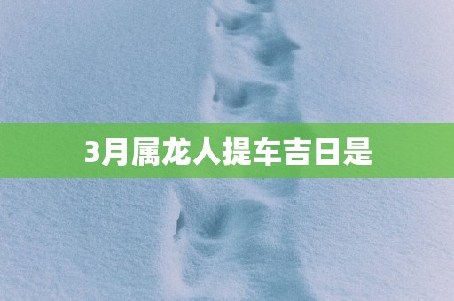 3月属龙人提车吉日是