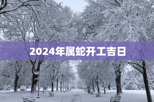 2025年属蛇开工吉日