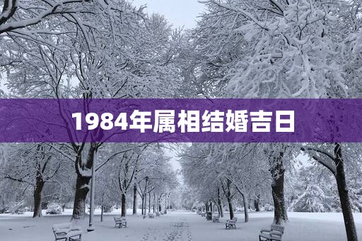 1984年属相结婚吉日