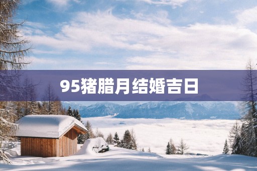 95猪腊月结婚吉日