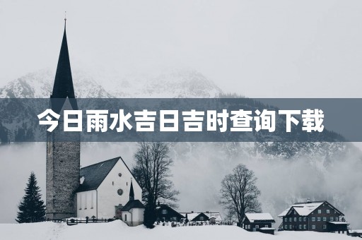 今日雨水吉日吉时查询下载