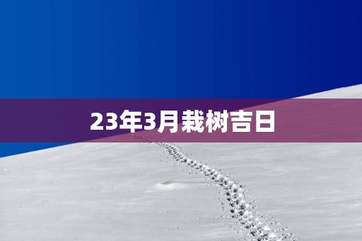 23年3月栽树吉日