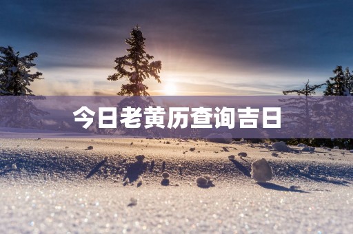 今日老黄历查询吉日