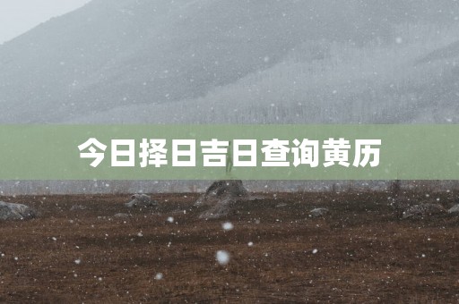今日择日吉日查询黄历