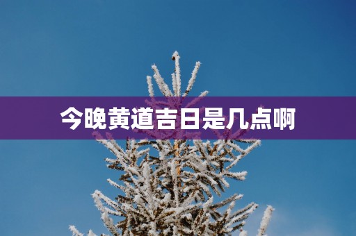 今晚黄道吉日是几点啊
