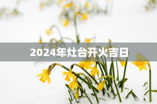 2025年灶台开火吉日