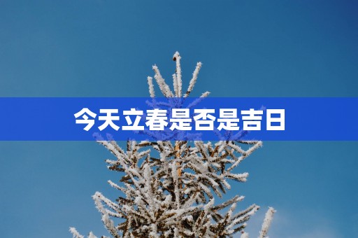 今天立春是否是吉日