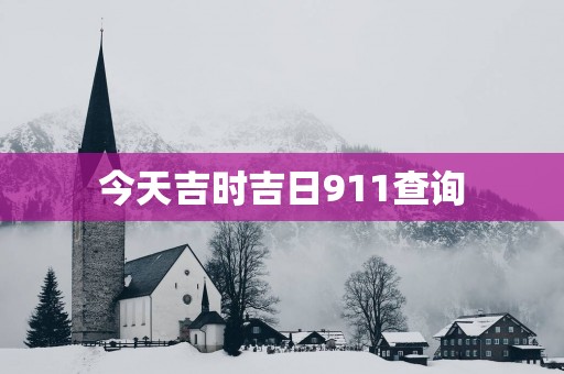 今天吉时吉日911查询