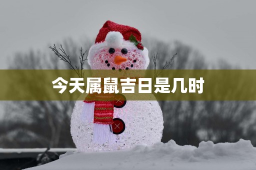 今天属鼠吉日是几时