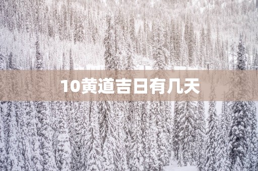 10黄道吉日有几天